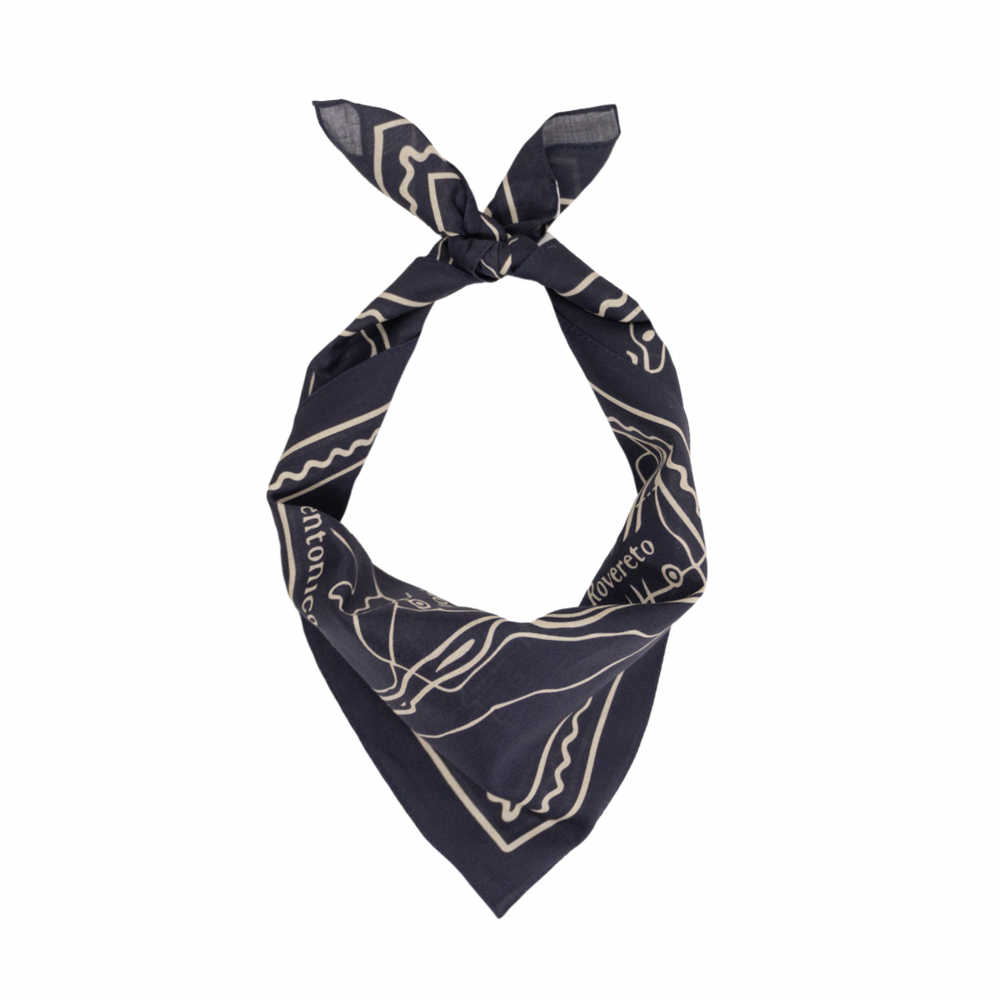 Bandana para correr Cascada Territory Heritage Indigo