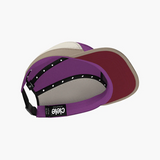 ALZ Cap | Cosmos